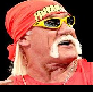 Hulk Hogan Champion Select
